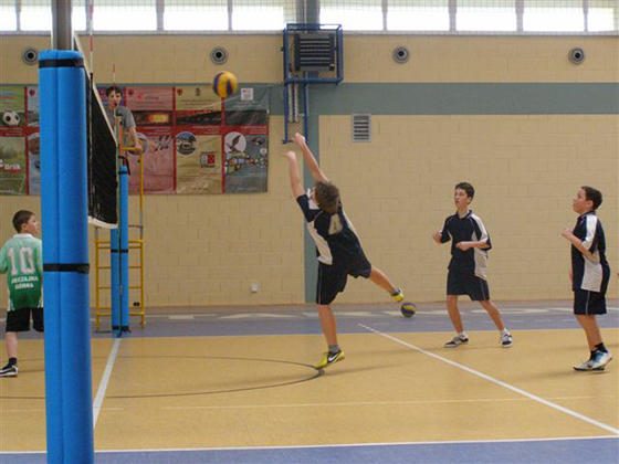 http://www.mgosirdt.pl/sites/default/files/mg_mini_siatkowka_1202013_6.JPG
